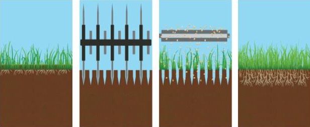 verticut