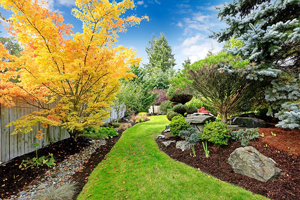 Overland Park Landscaping